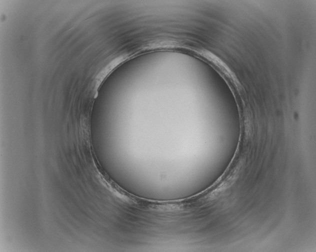 X0000073901337200609011709