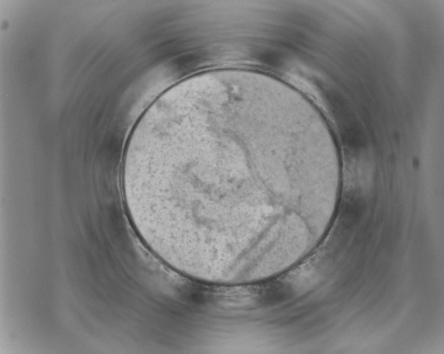 X0000073901338200609011709