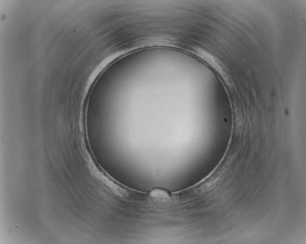 X0000073901339200609011709