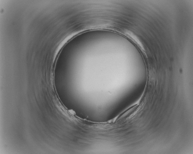 X0000073901340200609011709