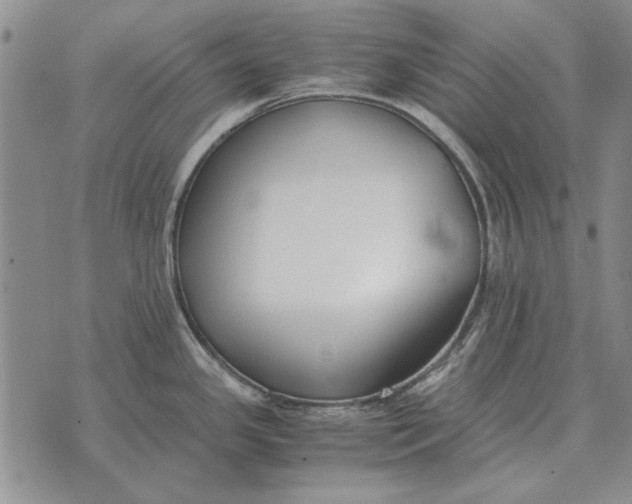 X0000073901341200609011709