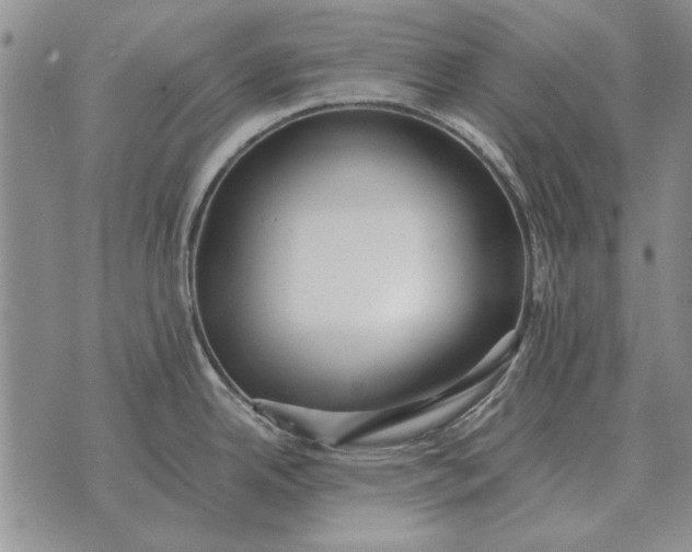 X0000073901342200609011709