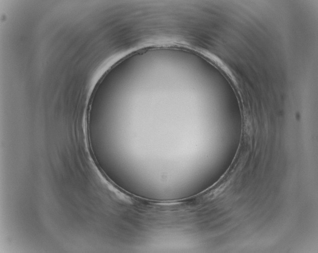 X0000073901343200609011709