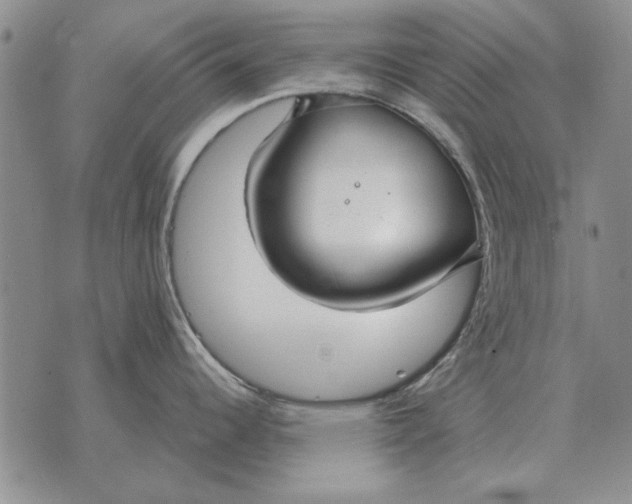 X0000073901344200609011709