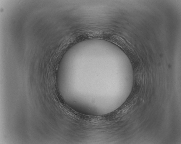 X0000073901345200609011708