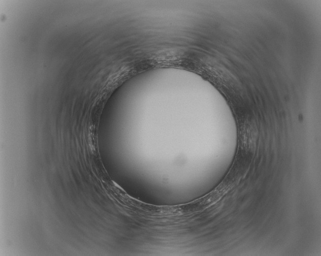 X0000073901346200609011708