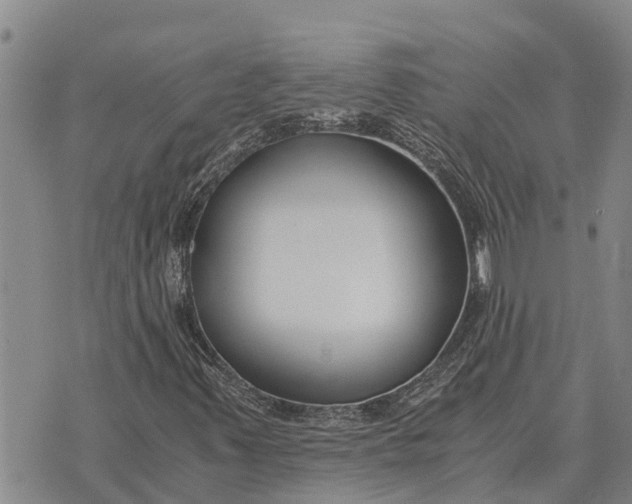 X0000073901347200609011708