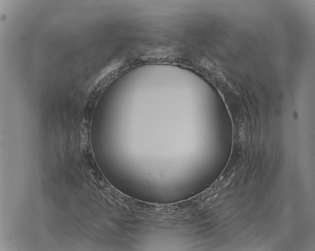 X0000073901350200609011708