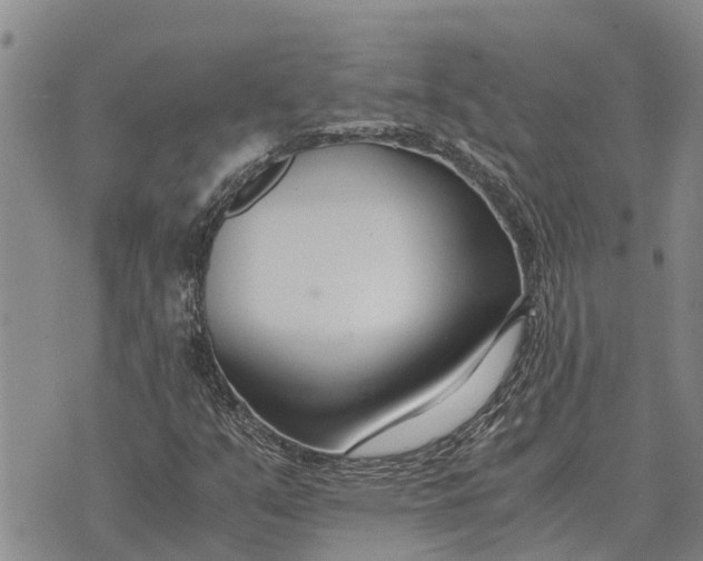 X0000073901351200609011708