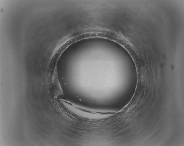 X0000073901352200609011708