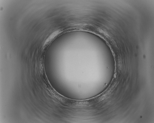 X0000073901354200609011708