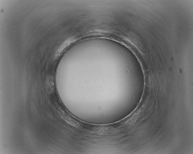 X0000073901355200609011708