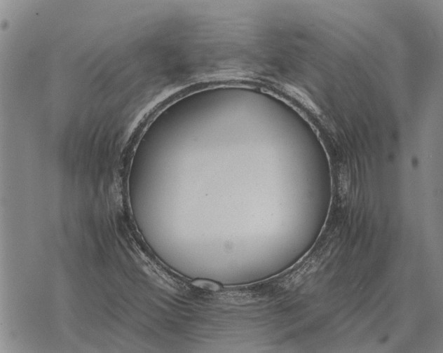 X0000073901356200609011708