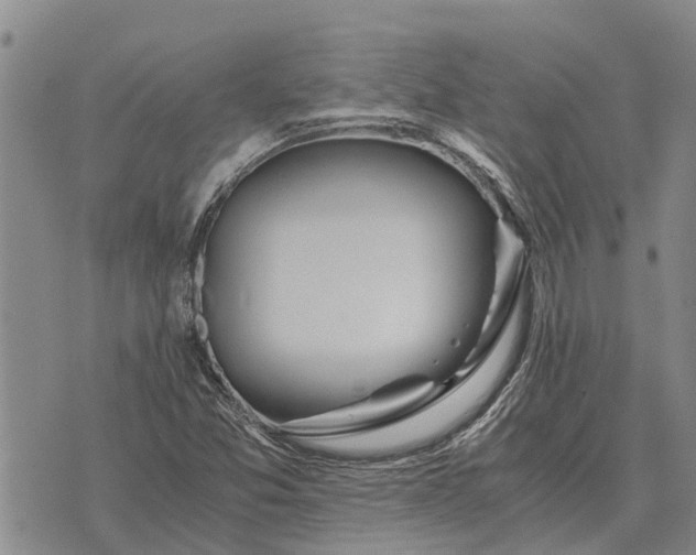 X0000073901357200609011708