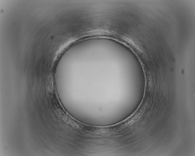 X0000073901358200609011708