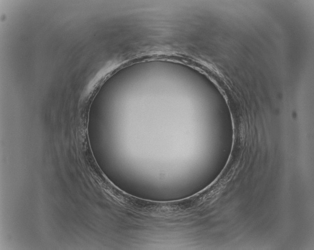 X0000073901359200609011708