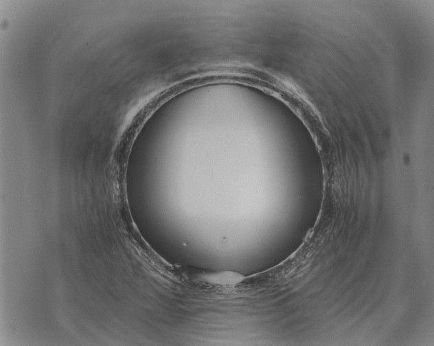 X0000073901360200609011708