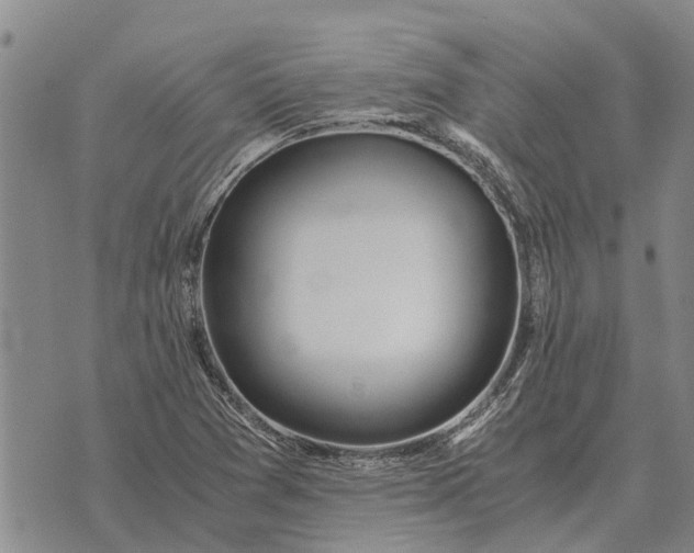 X0000073901361200609011708