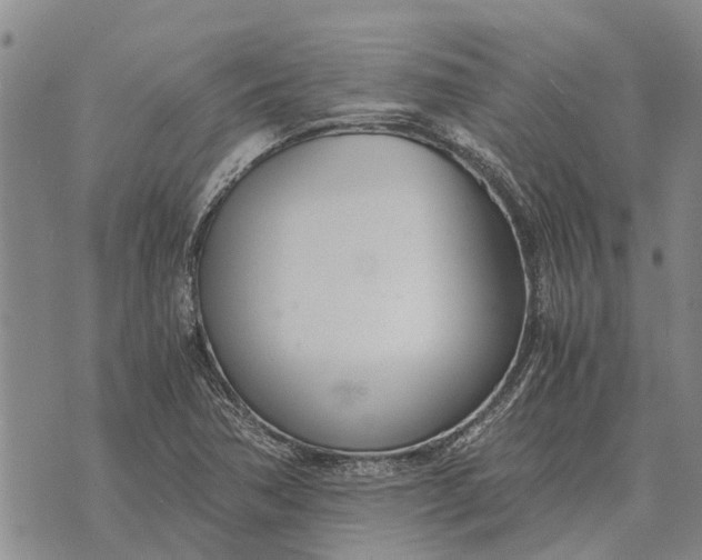 X0000073901362200609011708