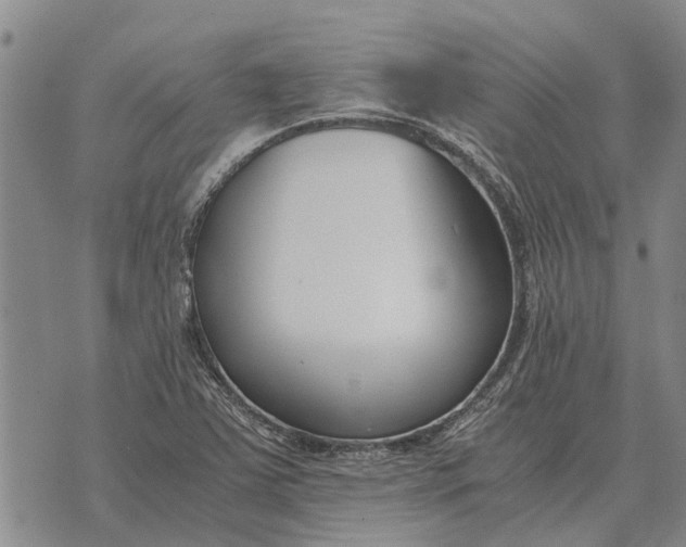 X0000073901363200609011708