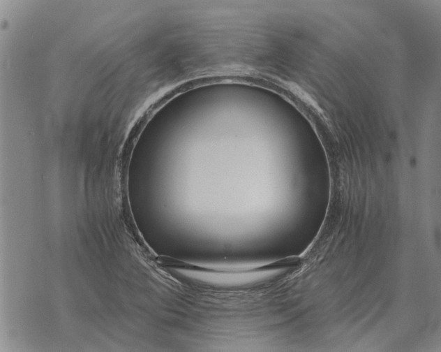 X0000073901364200609011708