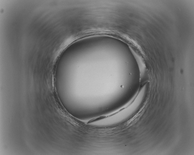 X0000073901365200609011708