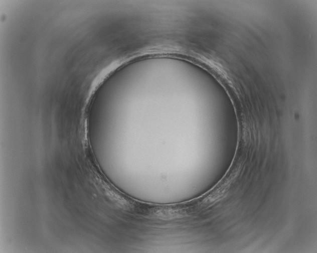 X0000073901366200609011708