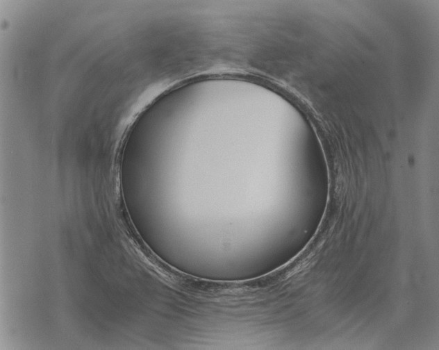 X0000073901367200609011708