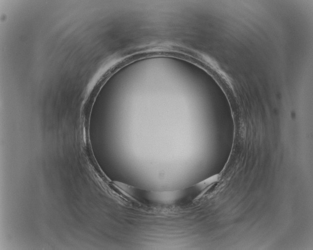 X0000073901368200609011708