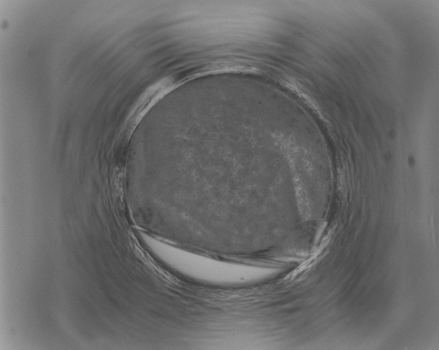 X0000073901369200609011708