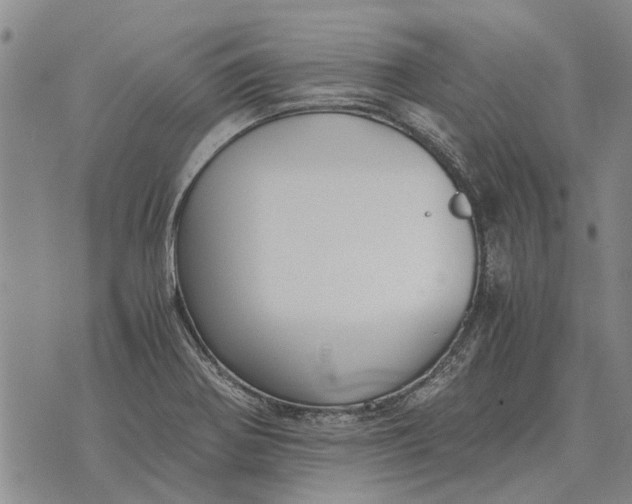 X0000073901370200609011708