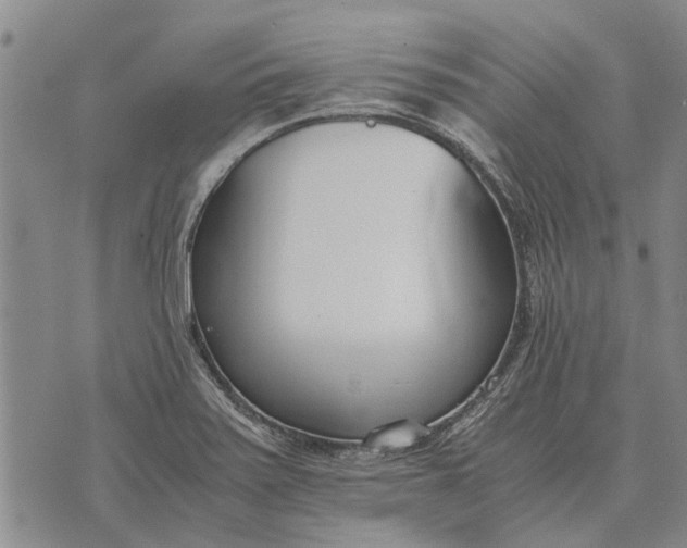 X0000073901371200609011707