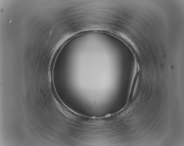 X0000073901372200609011707