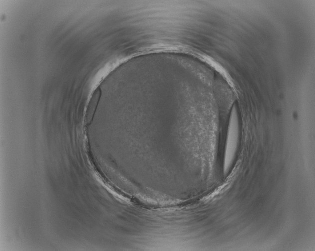 X0000073901373200609011707