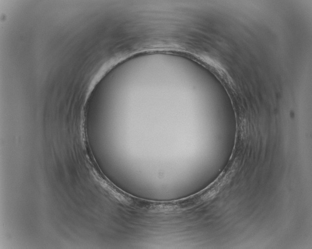 X0000073901374200609011707