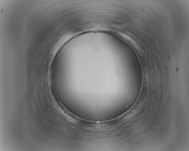 X0000073901375200609011707