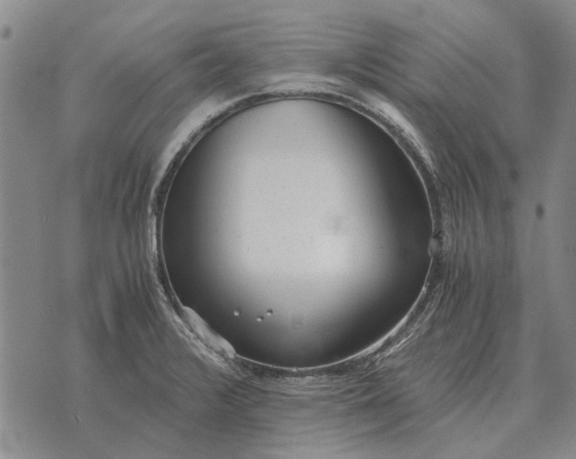 X0000073901376200609011707