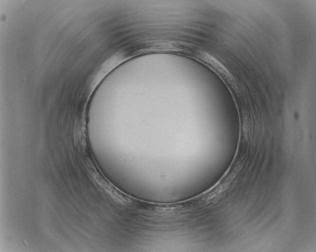 X0000073901378200609011707