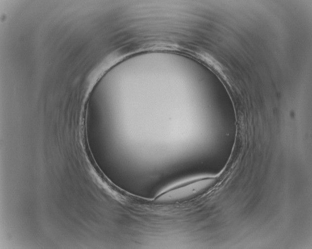 X0000073901379200609011707