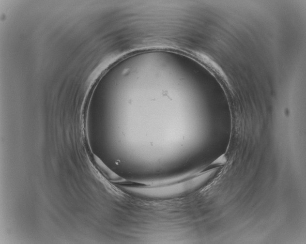 X0000073901380200609011707