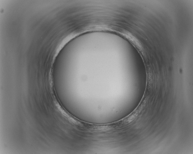 X0000073901382200609011707