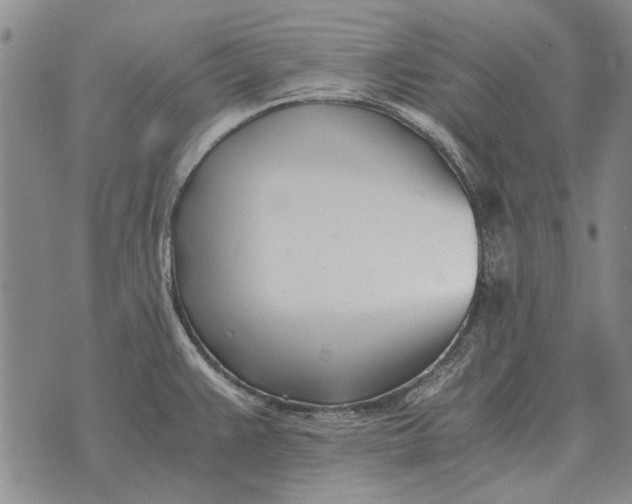 X0000073901383200609011707