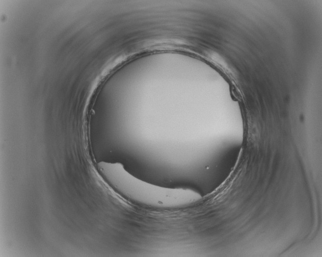 X0000073901384200609011707