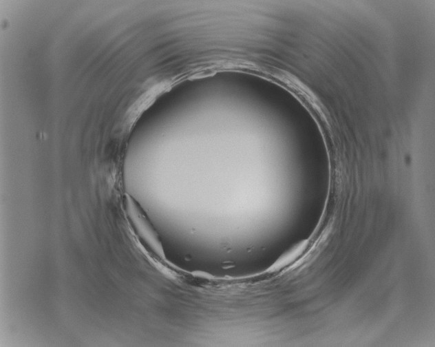 X0000073901385200609011707