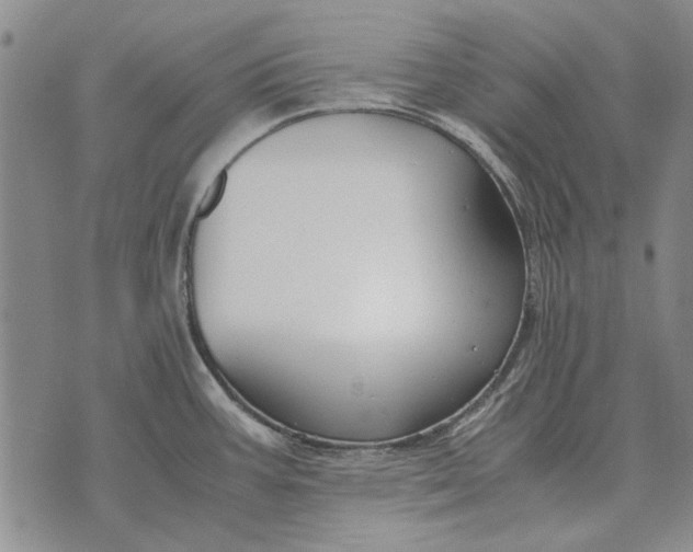 X0000073901387200609011707