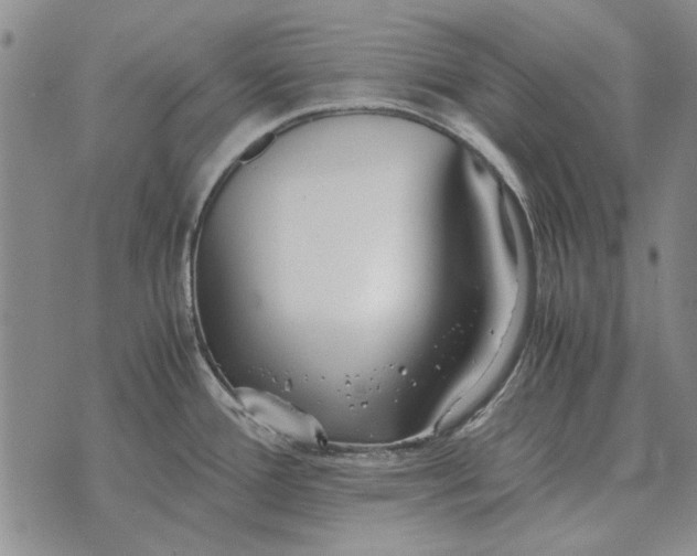 X0000073901388200609011707