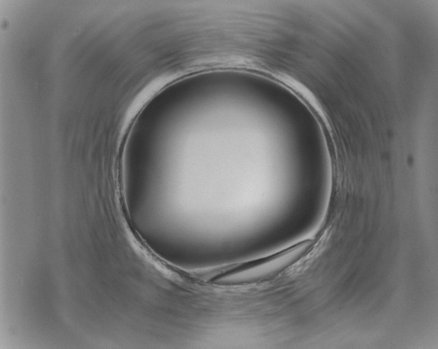 X0000073901389200609011707