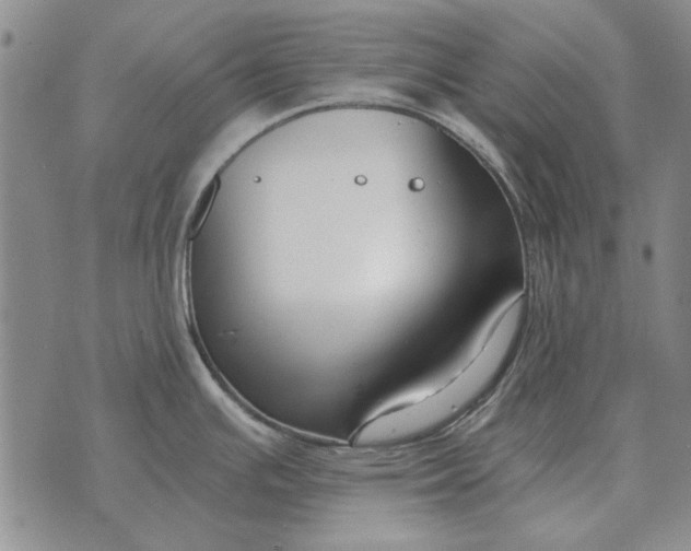 X0000073901391200609011707