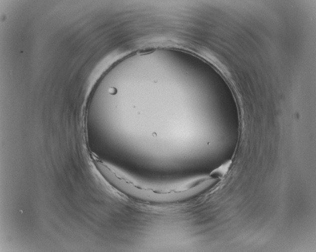 X0000073901392200609011707