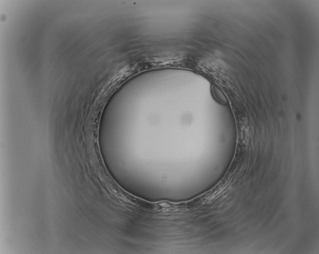 X0000073901393200609011706